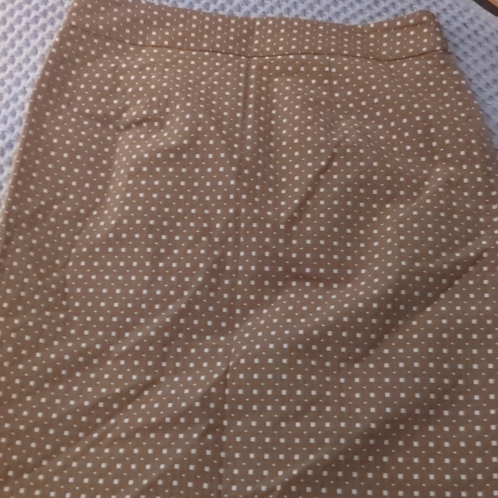 Banana Republic Skirt